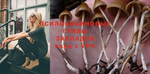 гидра Алексин