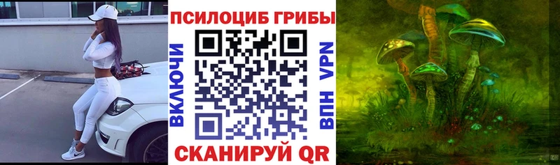 Галлюциногенные грибы Cubensis Тара
